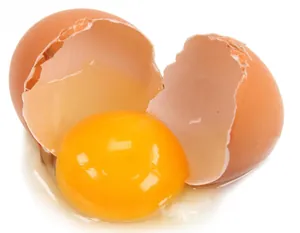 Egg
