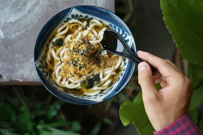 Udon noodles