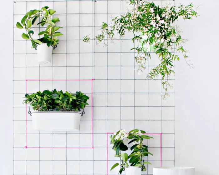 vertical wall garden