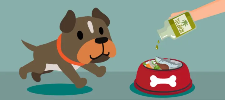 Hemp for pets