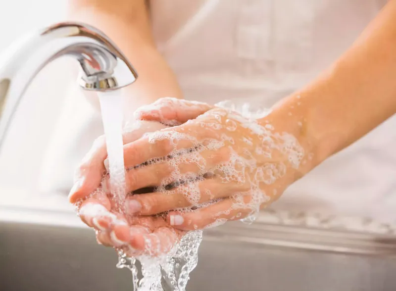 wash hands