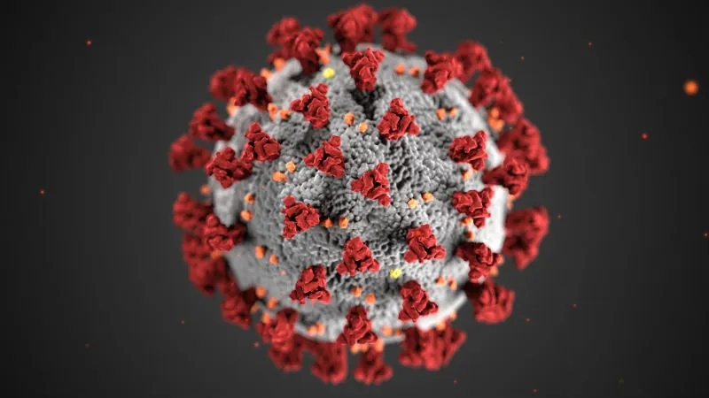 Covid Coronavirus