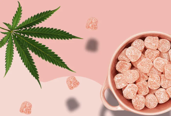 CBD Gummies
