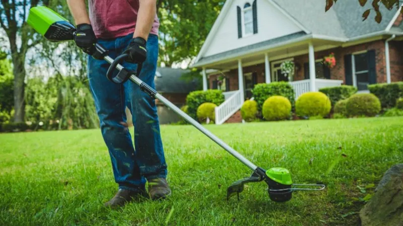 hedge trimmer