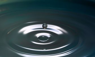 Three Incredibly Useful (and Mindful) Water-Saving Practices