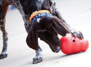 KONG Wobbler Treat Dispensing Dog Toy