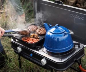 Portable gas stove