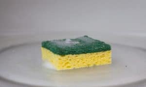 sponge