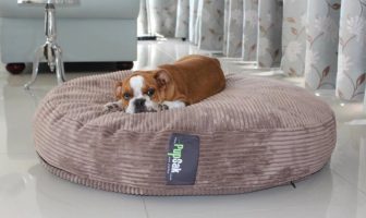Pupsak dog bed