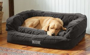 dog bed