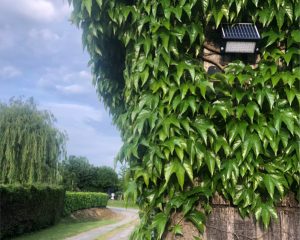 floodlight solar