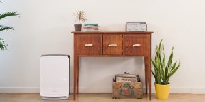 air purifier