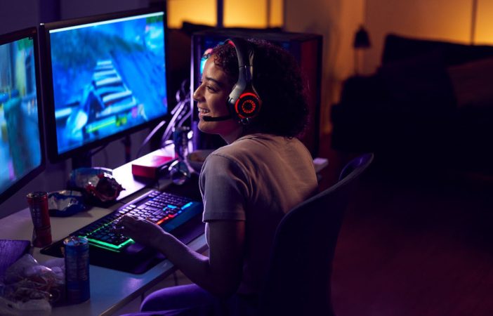 PC gamer