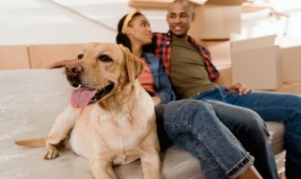 moving with pets