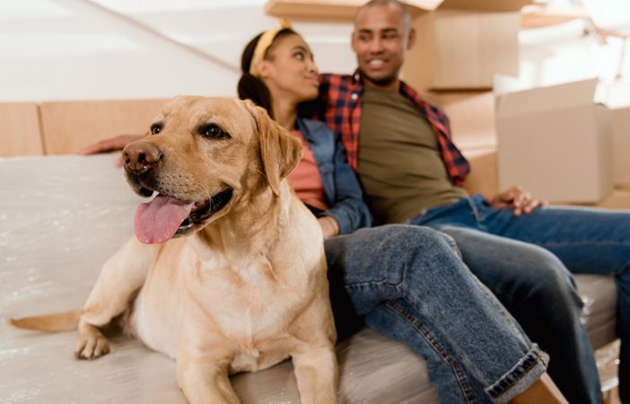 moving with pets