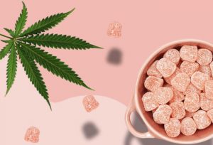 CBD Gummies