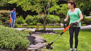 hedge trimmer