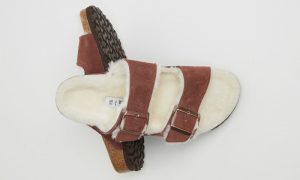 Birkenstocks