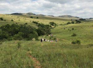 Cradle Moon Hiking Trail