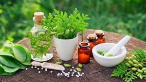 herbs medicine