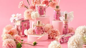 Mr Price Home Dalhia collection