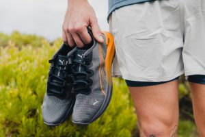 Puma Seasons