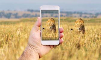 smartphone photography