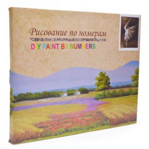 DIY Paint By Numbers