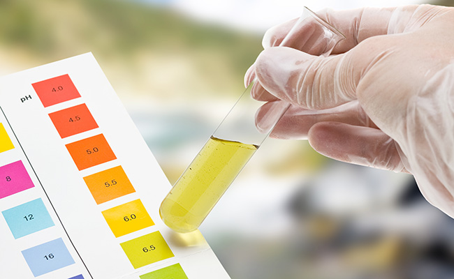 Measuring-the-pH-of-fish-tank-water-with-pH-test