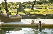 safari bush holiday