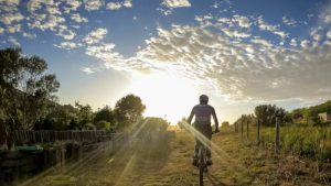 mountain bike trails